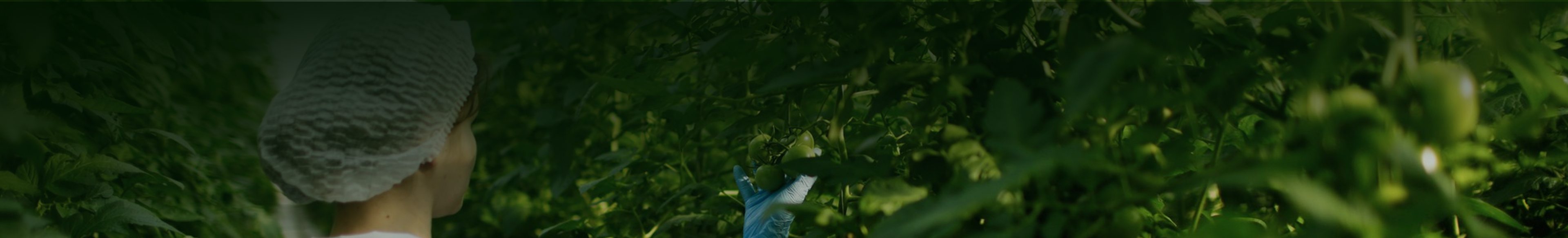 Sustainable-banner